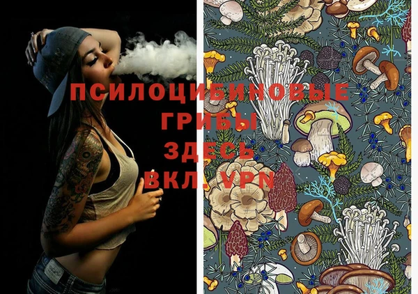 альфа пвп Алексеевка