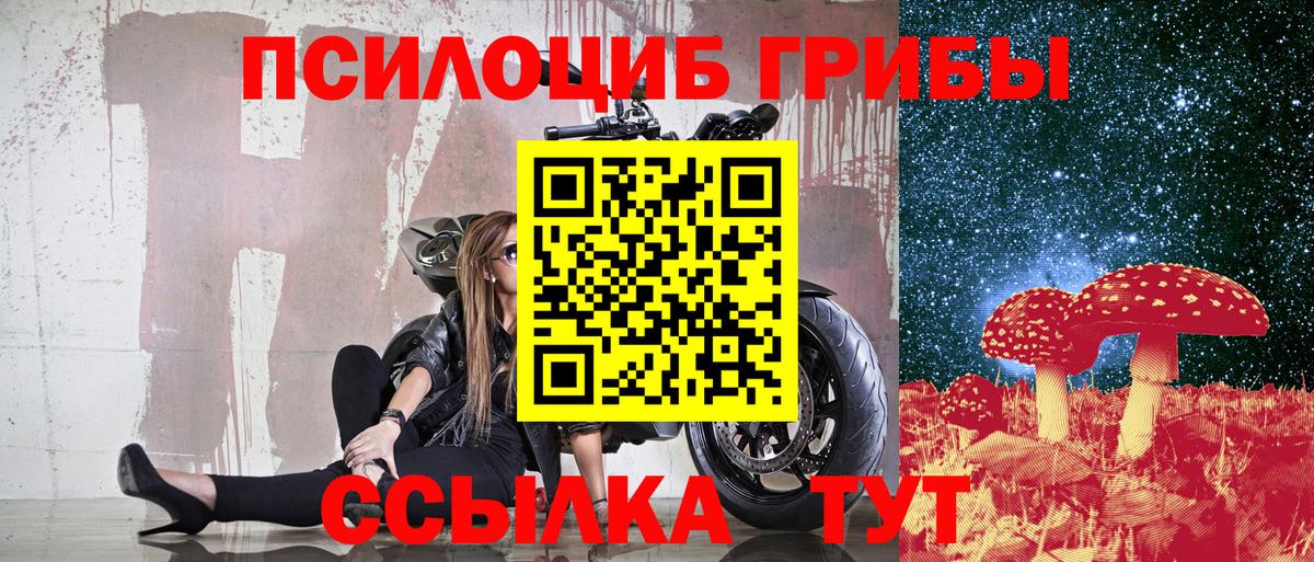 Галлюциногенные грибы Cubensis Нурлат